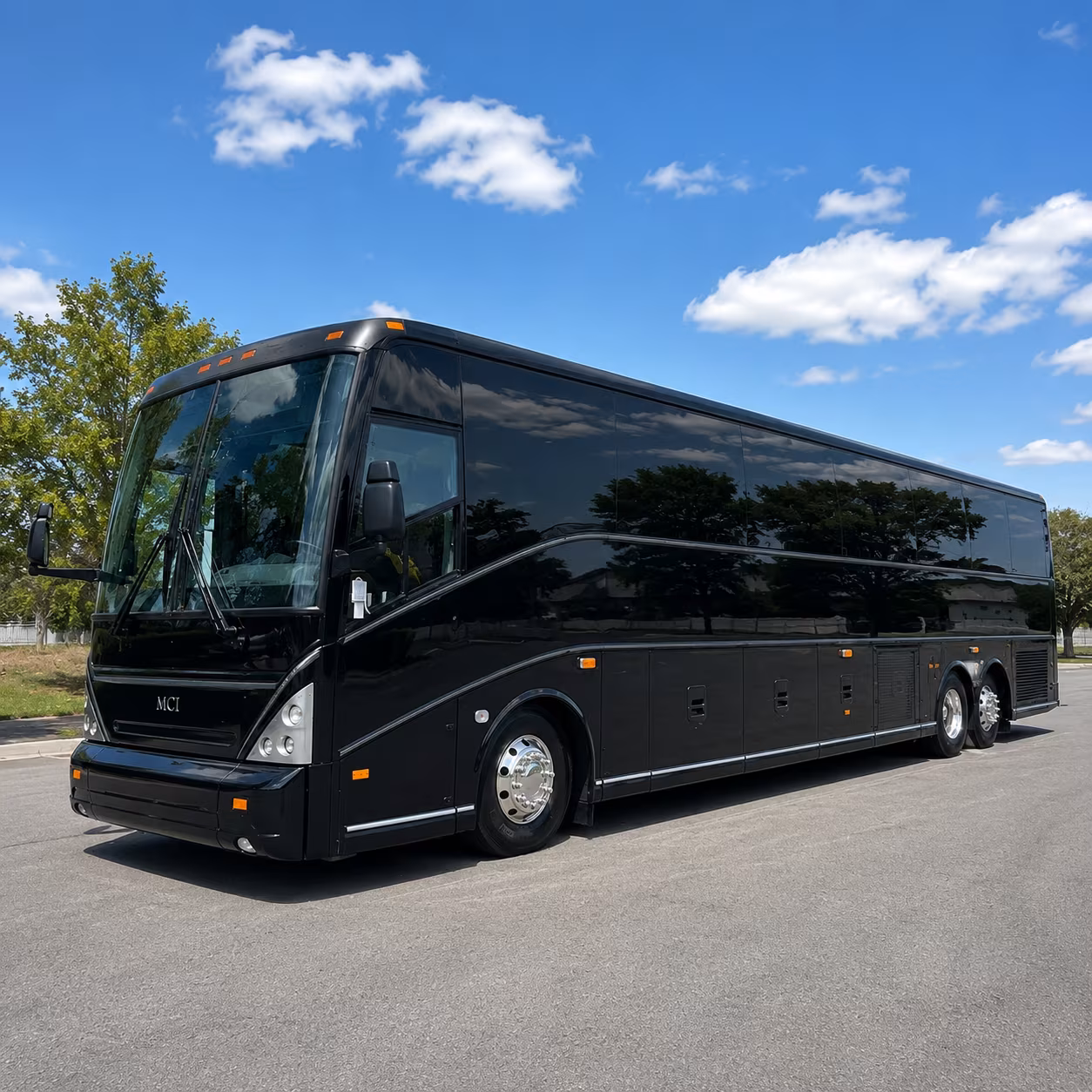 run a legislative or government group charter to helena